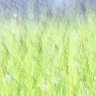 Gradiente de hierba Fondo de pantalla iPhone SE / iPhone5s / 5c / 5