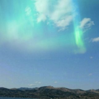 Lago Cisne Fondo de pantalla iPhone SE / iPhone5s / 5c / 5