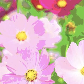Cosmos caen cerezos en flor Fondo de Pantalla de iPhoneSE / iPhone5s / 5c / 5