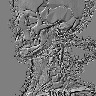 Cráneo de piedra duradera Fondo de Pantalla de iPhoneSE / iPhone5s / 5c / 5