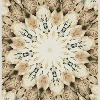 Diseño floral Fondo de Pantalla de iPhoneSE / iPhone5s / 5c / 5