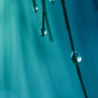 agua natural cae el verde Fondo de Pantalla de iPhoneSE / iPhone5s / 5c / 5