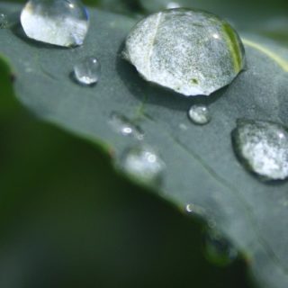 agua natural cae el verde Fondo de pantalla iPhone SE / iPhone5s / 5c / 5