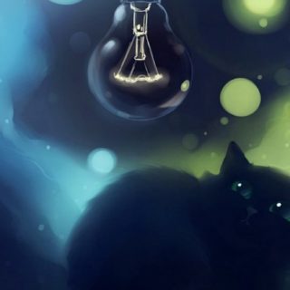 Gato del bulbo negro Fondo de pantalla iPhone SE / iPhone5s / 5c / 5