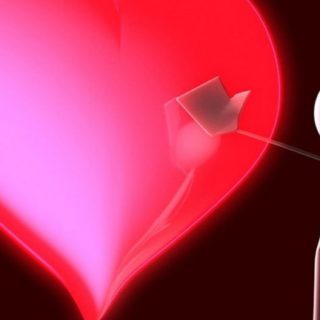 Corazón rojo de las mujeres Fondo de pantalla iPhone SE / iPhone5s / 5c / 5