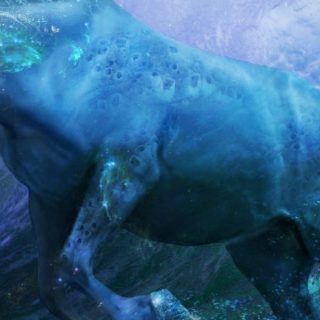 azul animal caballo Fondo de pantalla iPhone SE / iPhone5s / 5c / 5