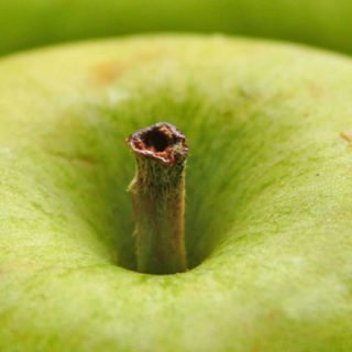 Comida manzana verde Fondo de Pantalla de iPhoneSE / iPhone5s / 5c / 5