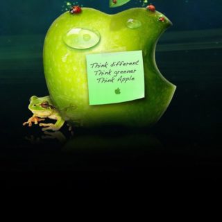 Manzana animales rana verde Fondo de Pantalla de iPhoneSE / iPhone5s / 5c / 5