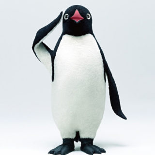 pingüino Animal Fondo de pantalla iPhone SE / iPhone5s / 5c / 5