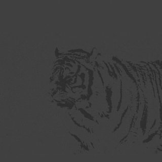 tigre negro de origen animal Fondo de pantalla iPhone SE / iPhone5s / 5c / 5