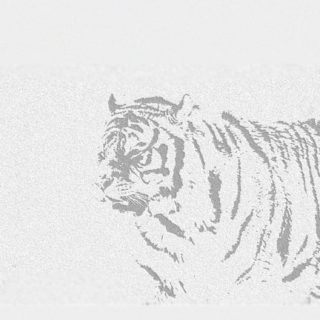 tigre blanco Animal Fondo de pantalla iPhone SE / iPhone5s / 5c / 5