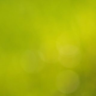 Borroso patrón de color amarillo-verde Fondo de Pantalla de iPhoneSE / iPhone5s / 5c / 5