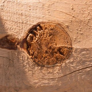 pared árbol marrón Fondo de Pantalla de iPhoneSE / iPhone5s / 5c / 5
