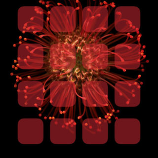 estantería de flores rojo y negro Fondo de pantalla iPhone SE / iPhone5s / 5c / 5