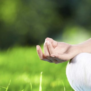Mano meditación del yoga verde Fondo de Pantalla de iPhoneSE / iPhone5s / 5c / 5