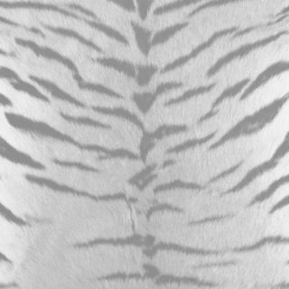 Modelo de la piel de tigre gris Fondo de Pantalla de iPhoneSE / iPhone5s / 5c / 5