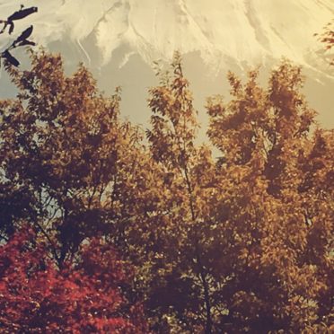 monte Fuji hojas de otoño Fondo de Pantalla de iPhone6s / iPhone6