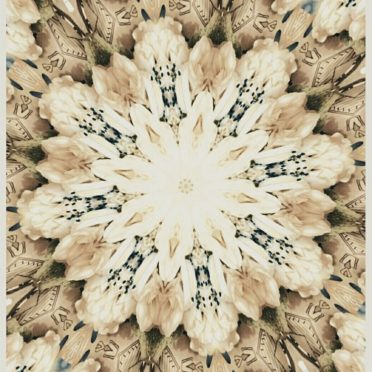Diseño floral Fondo de Pantalla de iPhone6s / iPhone6