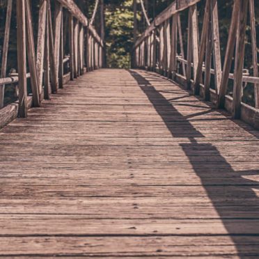 Puente colgante naturales del té Fondo de Pantalla de iPhone6s / iPhone6