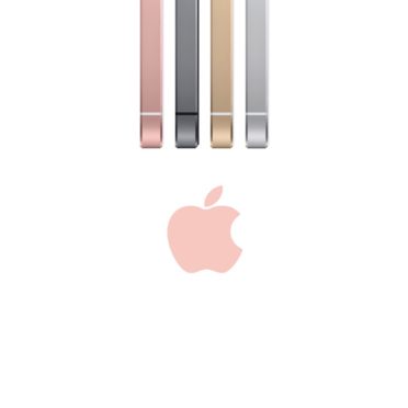 logotipo de teléfono inteligente de Apple de oro rosa Fondo de Pantalla de iPhone6s / iPhone6
