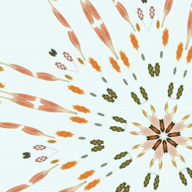 Diseño floral Fondo de Pantalla de iPhone6sPlus / iPhone6Plus