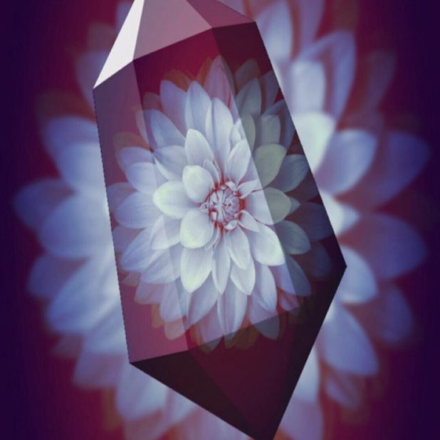 Cristal de la flor Fondo de Pantalla de iPhone6sPlus / iPhone6Plus