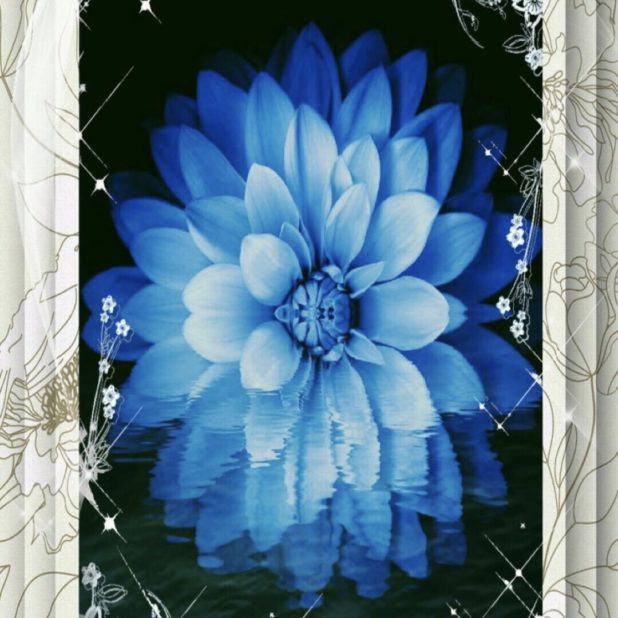Flor Azul Fondo de Pantalla de iPhone6sPlus / iPhone6Plus