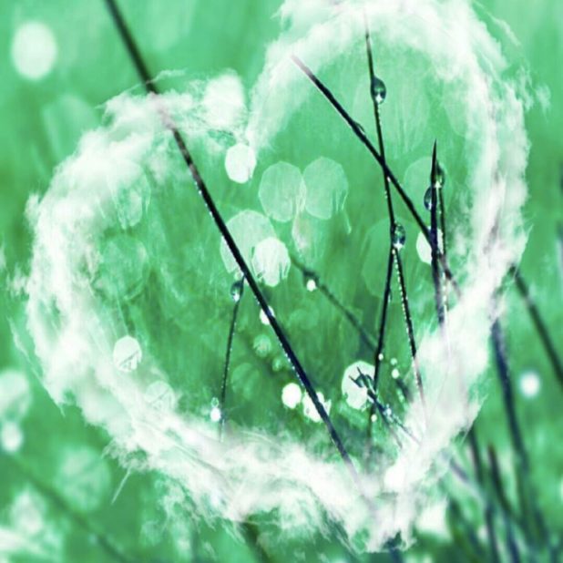Corazón verde Fondo de Pantalla de iPhone6sPlus / iPhone6Plus