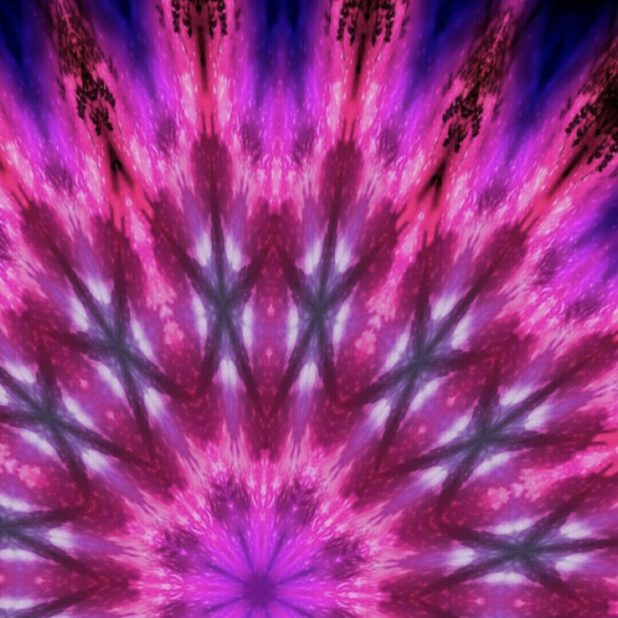 Flor púrpura Fondo de Pantalla de iPhone6sPlus / iPhone6Plus