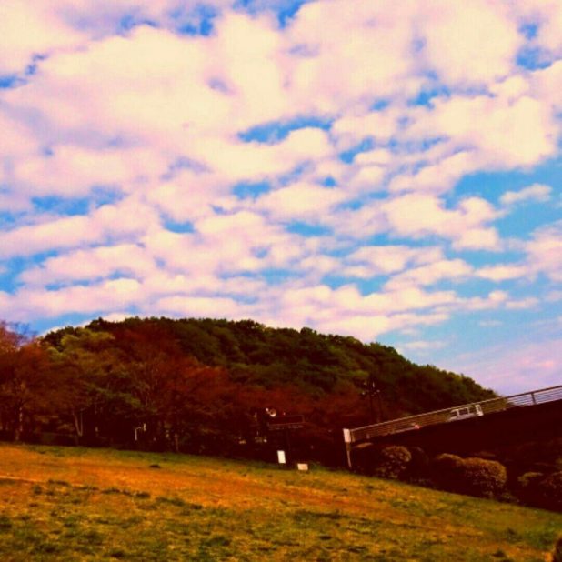 Cielo del parque Fondo de Pantalla de iPhone6sPlus / iPhone6Plus