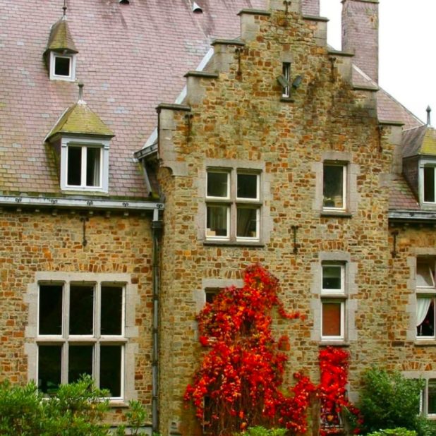 paisajista Fondo de Pantalla de iPhone6sPlus / iPhone6Plus