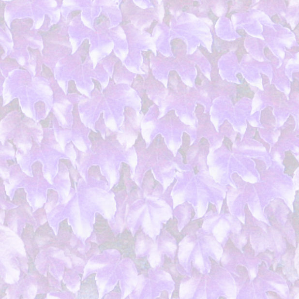 Modelo de la hoja púrpura Fondo de Pantalla de iPhone6sPlus / iPhone6Plus