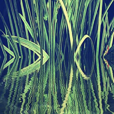 Reed Green Fondo de Pantalla de iPhone7