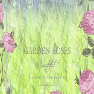 Jardín de rosas Fondo de Pantalla de iPhone7