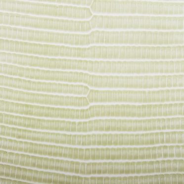 Vena de la hoja de gradación de color amarillo Fondo de Pantalla de iPhone7