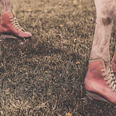 Ushikutsukusa Fondo de Pantalla de iPhone7