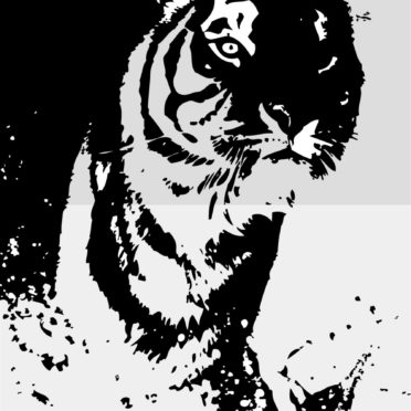 blanco y negro del tigre Ilustraciones Fondo de Pantalla de iPhone7