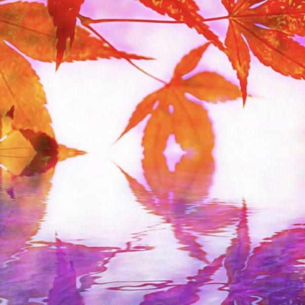 Follaje de otoño superficie del agua Fondo de Pantalla de iPhone7Plus