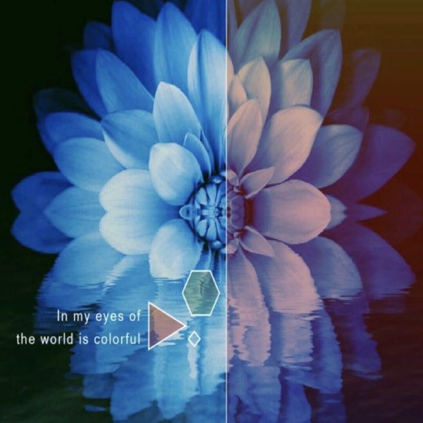 Flor Azul Fondo de Pantalla de iPhone7Plus