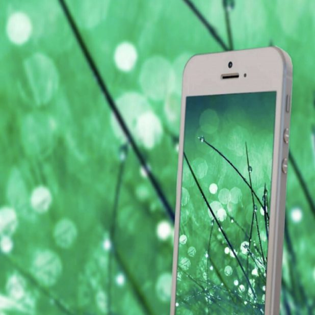 Smartphone verde Fondo de Pantalla de iPhone7Plus