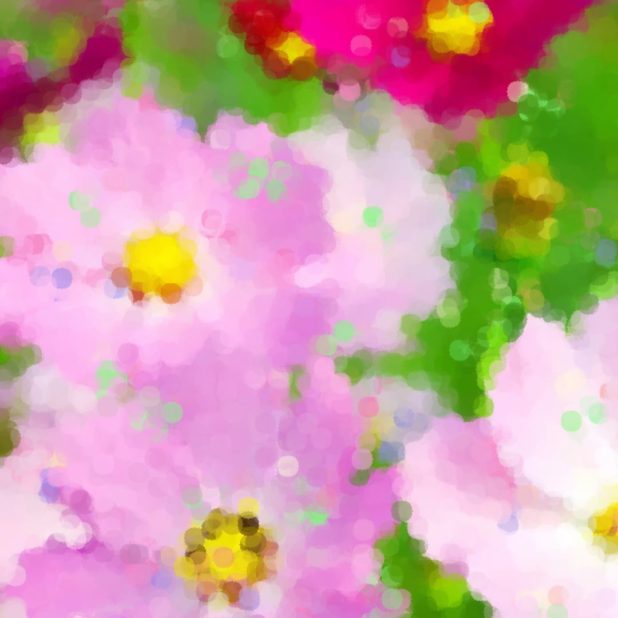 Cosmos caen cerezos en flor Fondo de Pantalla de iPhone7Plus