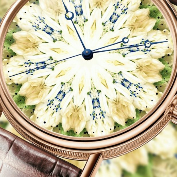 Reloj Flores Fondo de Pantalla de iPhone7Plus