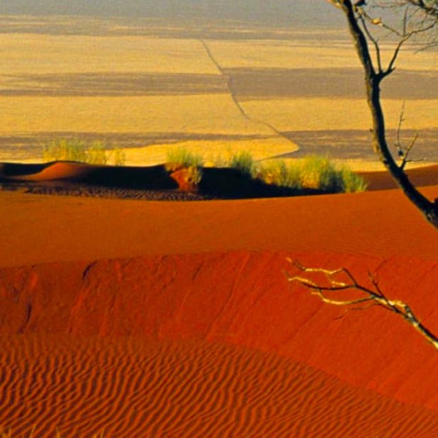 paisaje del desierto Fondo de Pantalla de iPhone7Plus