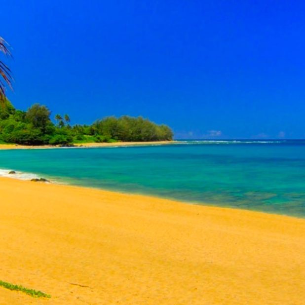 paisaje de la playa Fondo de Pantalla de iPhone7Plus
