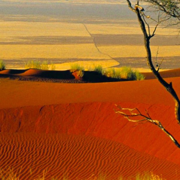paisaje del desierto Fondo de Pantalla de iPhone7Plus