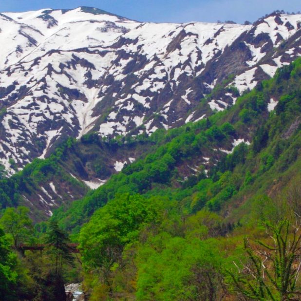 Montaña de la nieve verde natural Fondo de Pantalla de iPhone7Plus