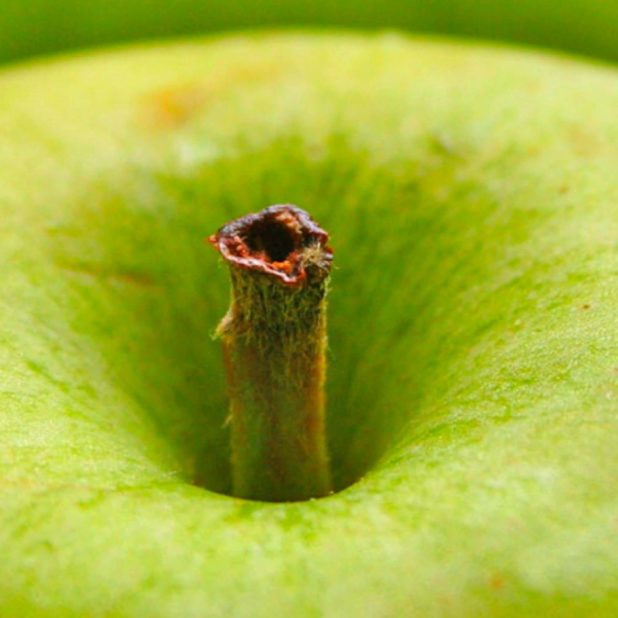 manzana verde desenfoque de la fruta Fondo de Pantalla de iPhone7Plus