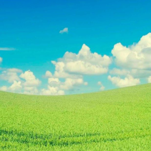 nube cielo verde Fondo de Pantalla de iPhone7Plus