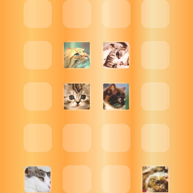 Gato anaranjado estantería Fondo de Pantalla de iPhone7Plus