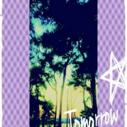 Mañana, resplandor, playa Fondo de Pantalla de iPhone8